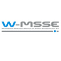 W-MSSE