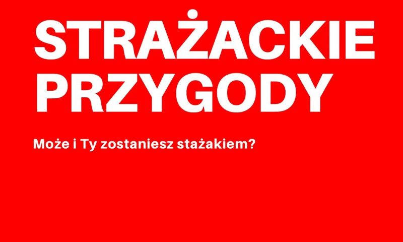 Strażackie przygody               w Powiatowym Domu Kultury