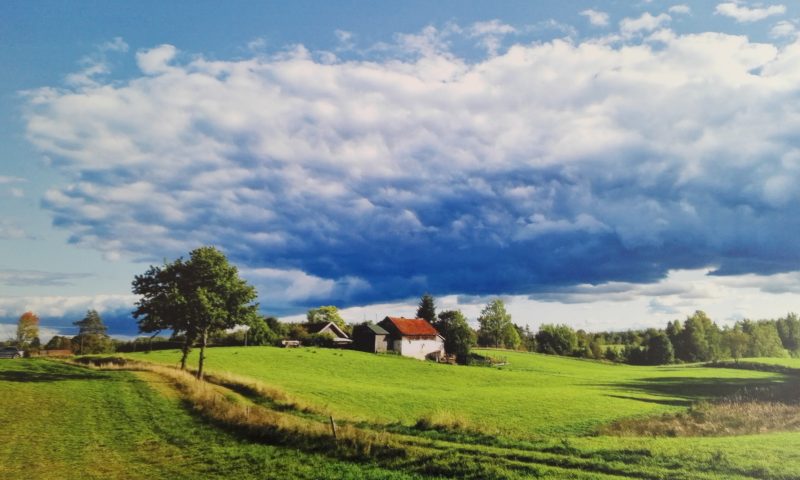 Zapraszamy na wystawę fotograficzną Wojciecha Glinki